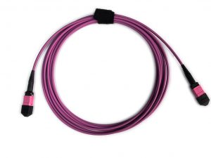 多模(OM4) MPO/MPO预连接跳线